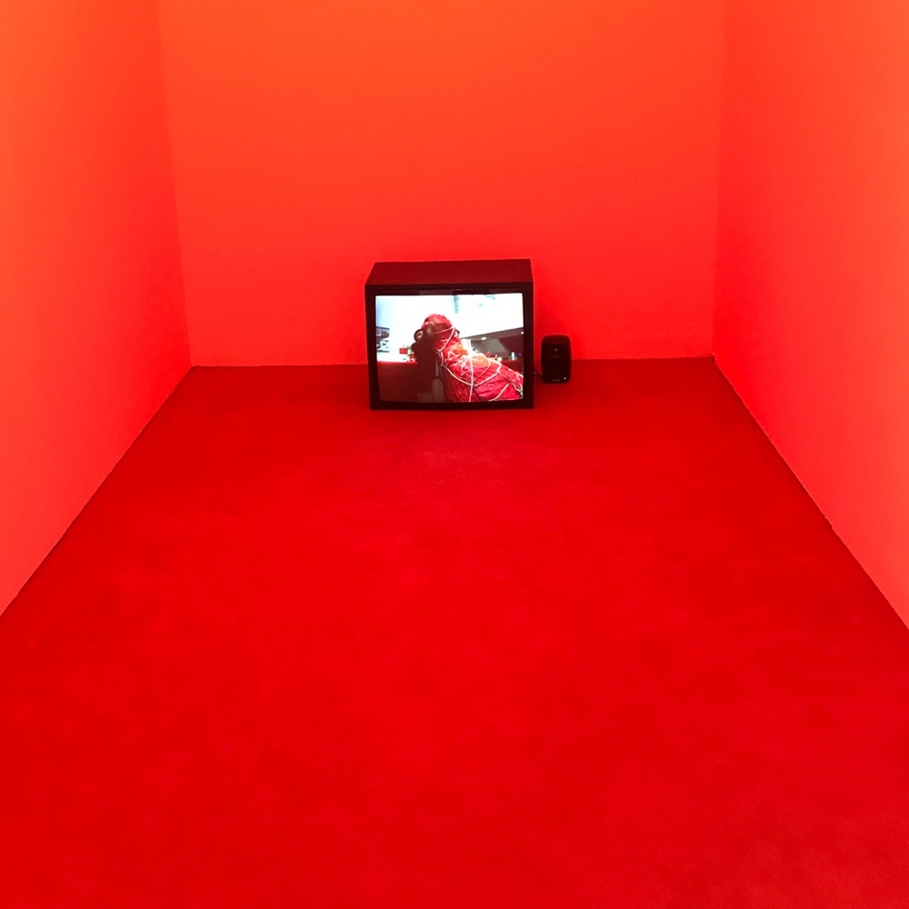 Meet your Posher, Ally